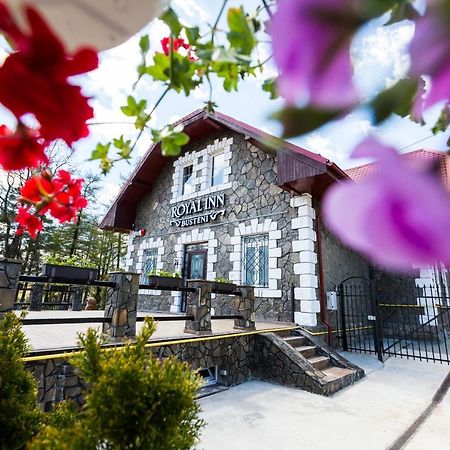 Royal Inn Busteni-Adults Only מראה חיצוני תמונה