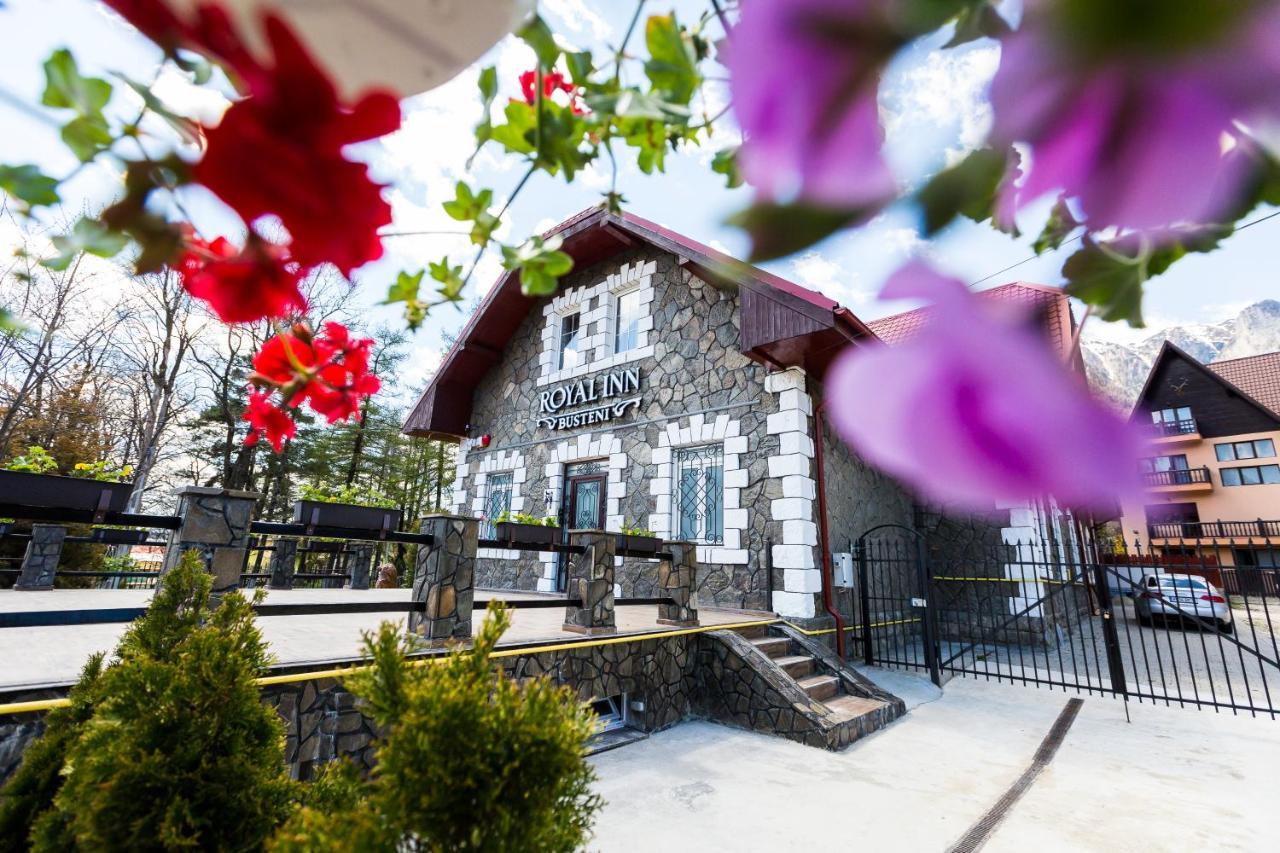 Royal Inn Busteni-Adults Only מראה חיצוני תמונה